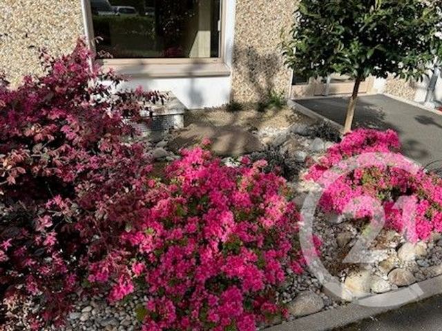 Appartement T1 à louer - 1 pièce - 31.0 m2 - ST ETIENNE - 42 - RHONE-ALPES - Century 21 Seux Immobilier