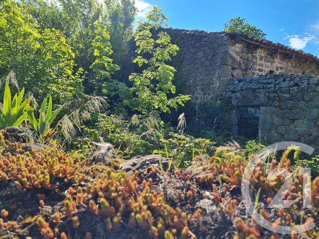 terrain à vendre - 1200.0 m2 - VERRIERES EN FOREZ - 42 - RHONE-ALPES - Century 21 Seux Immobilier